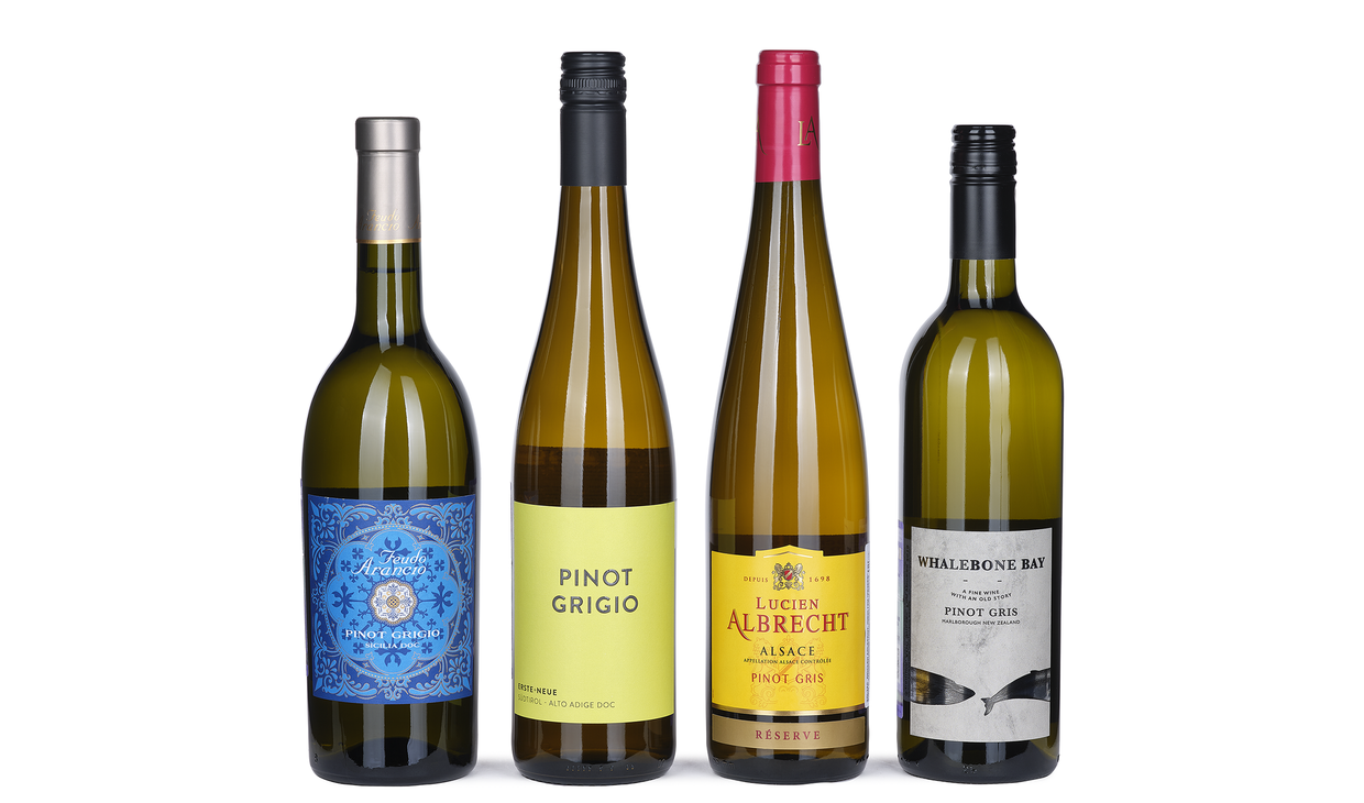 Con tre pinot. Сорт пино гриджио. шампанское con tre pinot grigio. кари лентоцци пино гриджо делле венеция. шампанское con tre pinot.